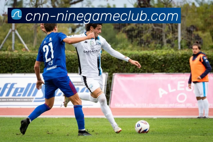 九游体育官方网站服务体系